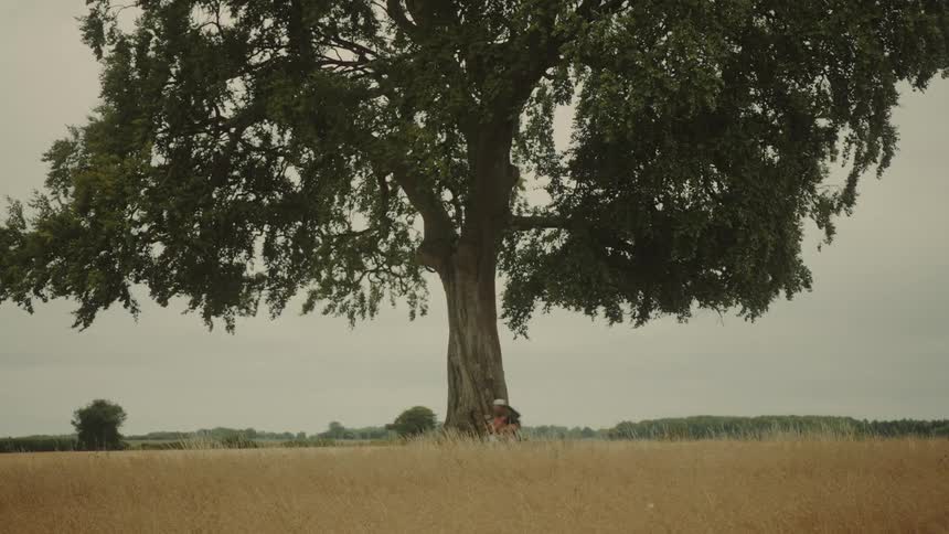 A person on a bicycle circles a massive, solitary tree in the middle of a vast rural field under a cloudy sky