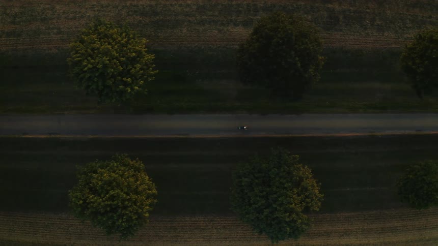 Aerial top-down view of a cyclist riding along a straight country road lined with trees during the golden hour