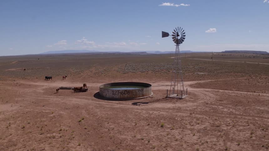 A pool of water is near a windmill