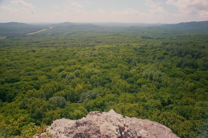 A stunning panoramic landscape view from a high vantage point over a vast, dense green forest stretching to the horizon