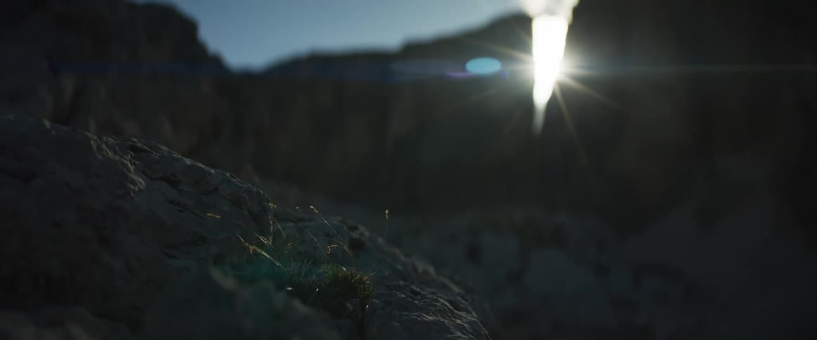 A solitary patch of grass sways gently on a rocky mountain ledge, backlit by the setting sun creating a cinematic lens flare