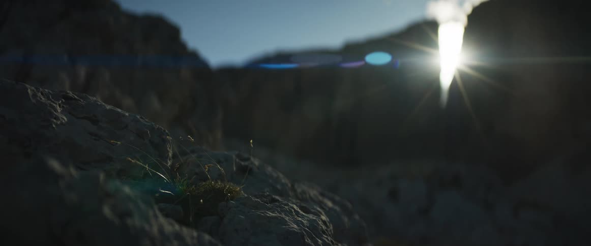A cinematic shallow-focus shot captures a resilient patch of grass on a rocky ledge with the sun flaring brightly in the background