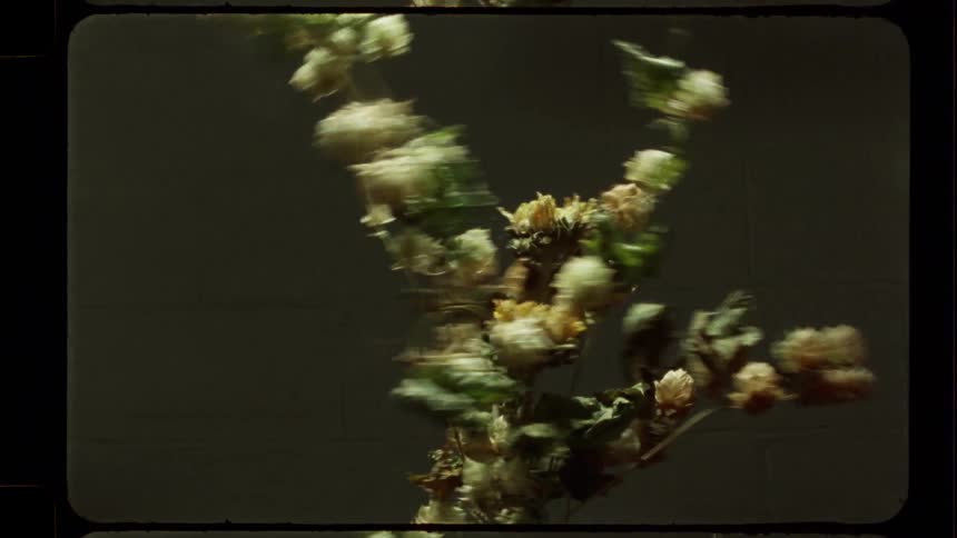 Erratic motion blur captures a bouquet of wilting flowers in a chaotic dance on vintage film