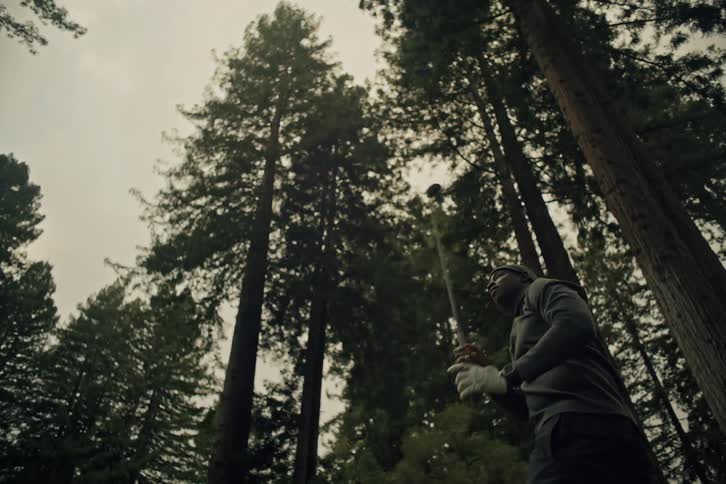 Low angle slow motion shot of a man taking a powerful golf swing surrounded by towering redwood trees
