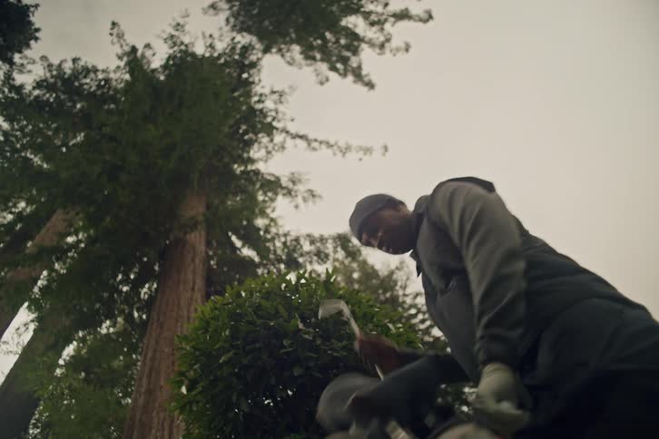 A male golfer, shot from a low angle, selects a club from his bag with towering evergreen trees in the background