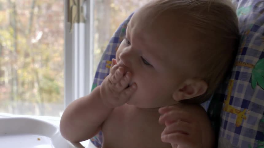 A baby sitting in a highchair eats food from his tray