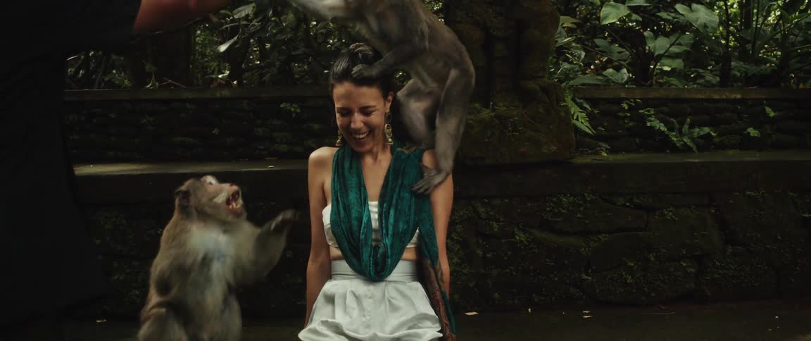 Macaque monkeys playfully climb on a laughing woman, grooming her hair in a lush jungle setting in slow motion