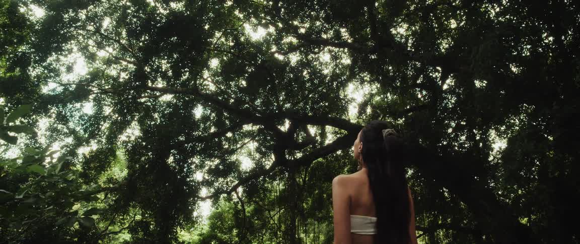 A woman with long flowing hair gazes up in awe at the majestic canopy of an ancient tree in a lush, spiritual jungle setting