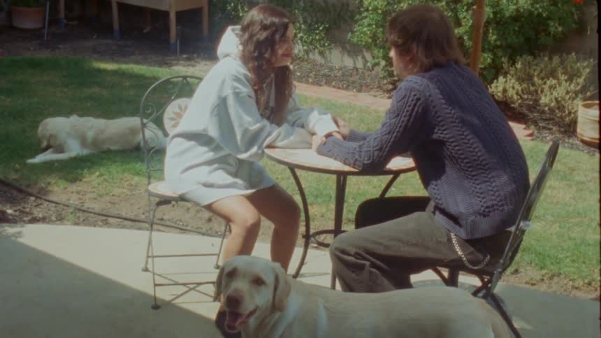 A happy young couple has a conversation while holding hands in a sunny backyard with their dogs