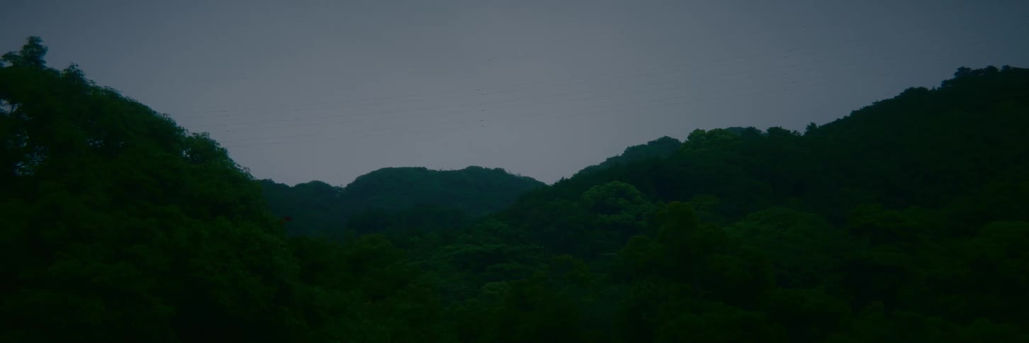 A flock of birds soars above a dark, dense mountain forest under a somber, grey sky