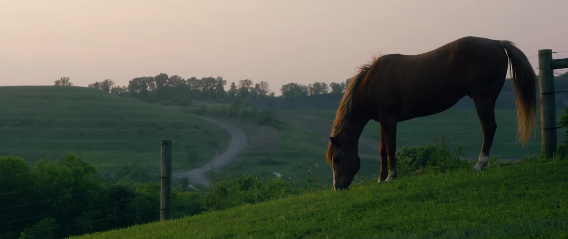 The hills are covered with green and a horse grazing