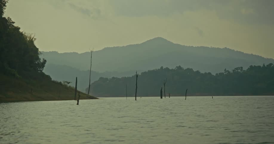 A tranquil and hazy mountain lake landscape with the skeletal remains of submerged trees breaking the surface