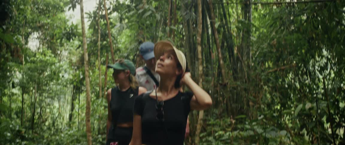 A group of tourists hikes along a trail, looking up in wonder at the tall bamboo trees in a dense jungle