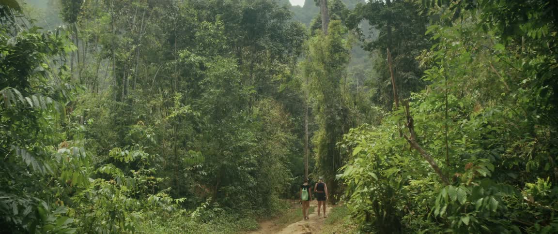 Two women with backpacks hike up a dirt trail through a dense and lush tropical jungle