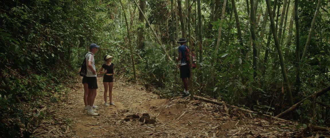 A tour guide explains the local flora to a couple while on a hike through a dense bamboo forest