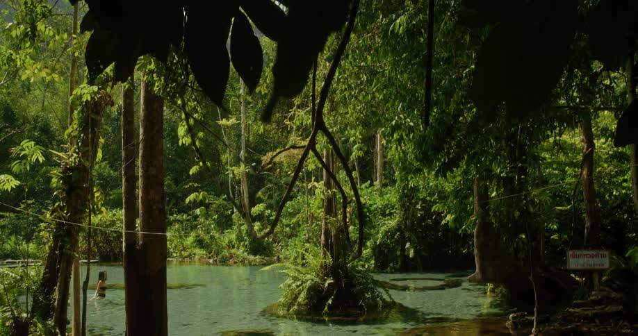 A camera tilts down from silhouetted jungle leaves to reveal a woman swimming in a beautiful, clear turquoise spring surrounded by a lush tropical forest