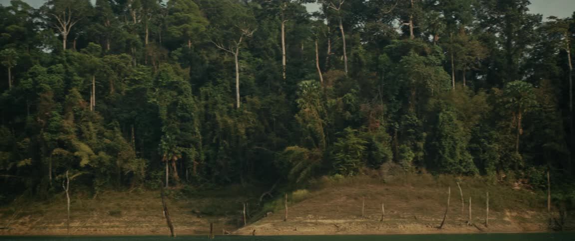 A point of view shot from a boat slowly traveling past a lush, dense tropical rainforest shoreline on a calm lake