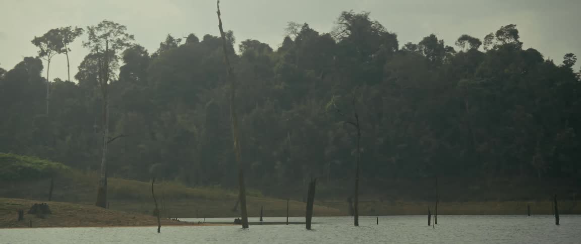 A slow, scenic view from a boat moving across a remote jungle lake with dead trees rising from the calm water