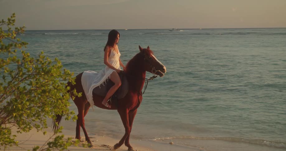 A beautiful woman in a white dress rides a brown horse along a sandy tropical beach at sunset
