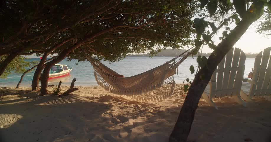 Golden hour sunlight filters through trees onto a tranquil beach where a woman rests peacefully in a hammock by the ocean