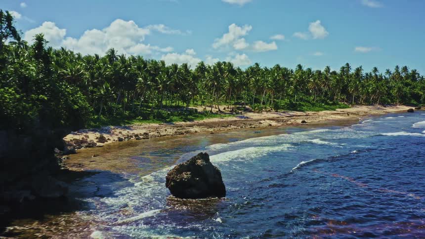 An aerial drone shot flies past a rocky cliff to reveal a stunning tropical beach lined with palm trees