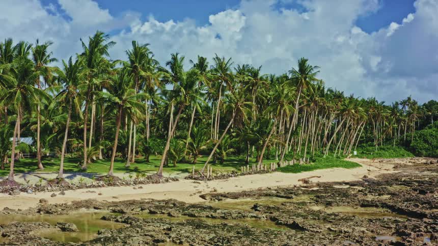 A static shot of a beautiful tropical island beach with a rocky shore and a grove of palm trees during low tide