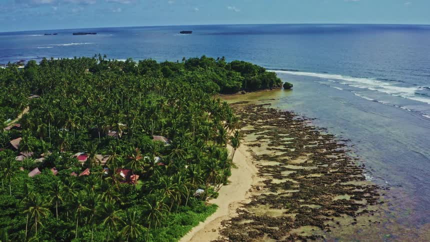 An aerial view slowly reveals a beautiful tropical island coastline with a palm tree forest and a rocky shore