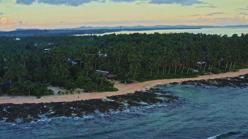 A cinematic orbital drone shot reveals a breathtaking tropical island landscape with a coconut palm forest and a sandy coastline at sunset