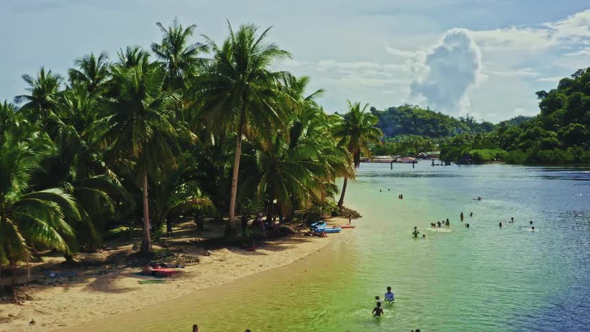 A serene aerial shot approaches a beautiful tropical beach where people are swimming in the clear green water next to lush palm trees