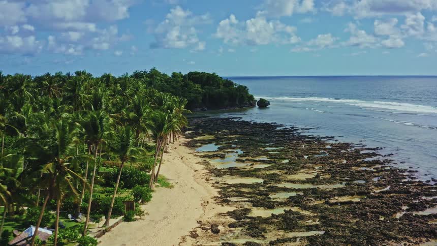 A slow aerial descent reveals a beautiful tropical island coastline with lush palm trees, a sandy beach, and a rocky reef