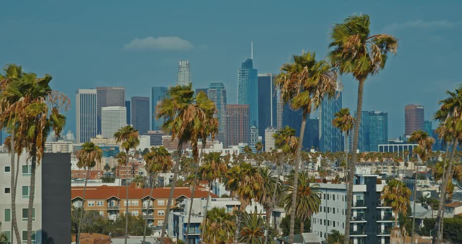 Iconic view of the Los Angeles downtown skyline with palm trees swaying in the wind on a bright sunny day