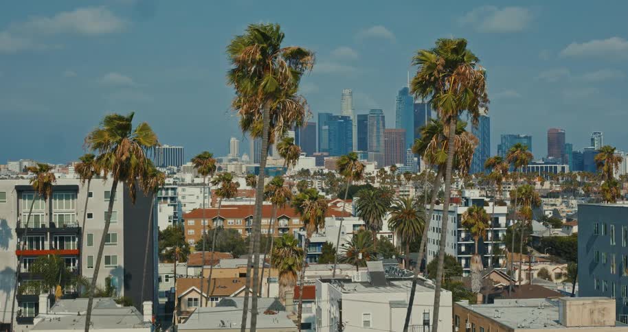 An iconic view of the downtown Los Angeles skyline with palm trees swaying in the wind in the foreground on a sunny day