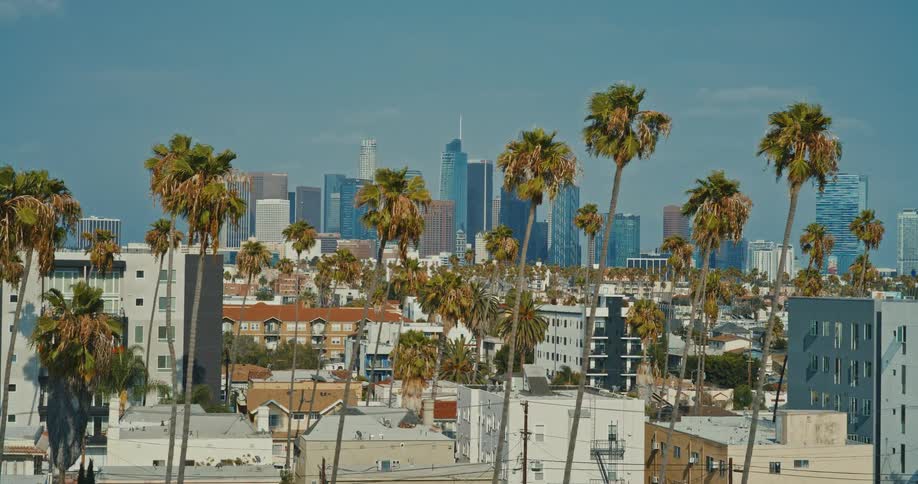 An iconic view of the Downtown Los Angeles skyline framed by tall palm trees and city buildings on a sunny day
