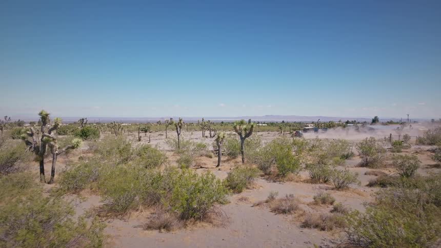 An aerial drone slowly pushes forward over a vast desert landscape dotted with Joshua trees and shrubs under a clear blue sky, capturing an off-road vehicle racing in the distance