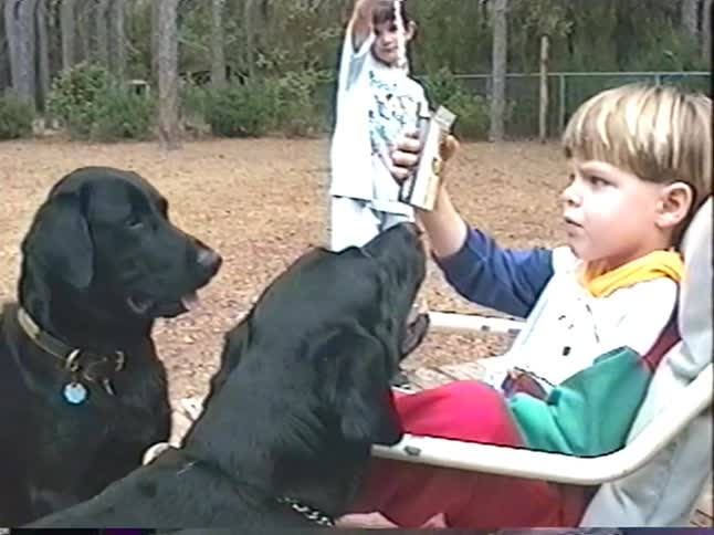 A nostalgic home video from the 1990s shows two black Labrador Retrievers playfully interacting with a young boy in a lounge chair while his brother jumps rope