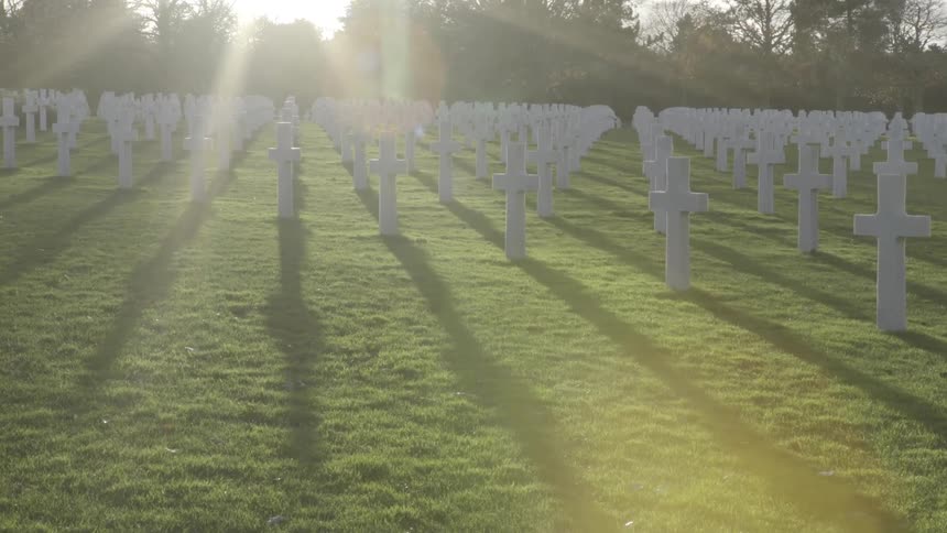 Hundreds of lined up crosses in cemetery