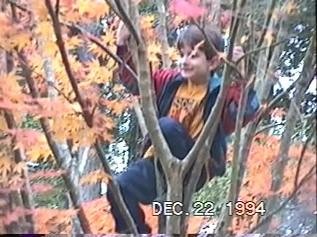 Charming 1994 home video of a smiling young boy sitting up in a colorful tree with autumn leaves