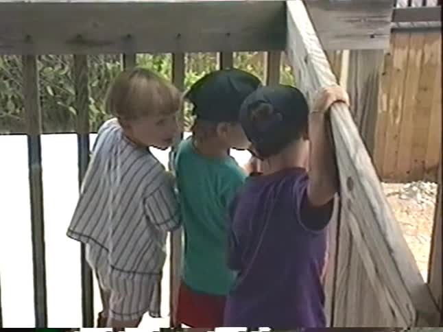 Three curious young boys gather at a wooden railing on an observation deck to look down at something interesting