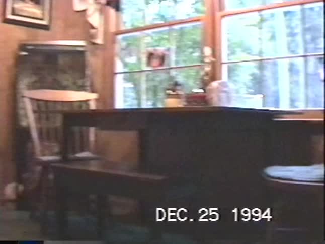 Two young boys in their pajamas are excited to see all the presents under the tree on Christmas morning in 1994