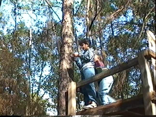 Vintage home movie footage captures two young boys playing and exploring in a wooden tree fort in the forest