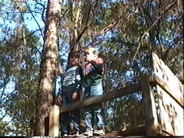 VHS footage shows two young boys standing together on a wooden treehouse platform, surrounded by tall trees