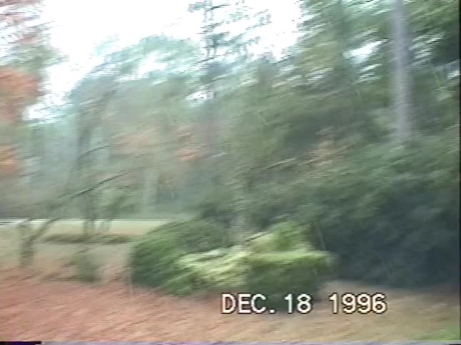 A young boy wearing a large hooded jacket stands in his yard during a light rain shower in this vintage home video from 1996