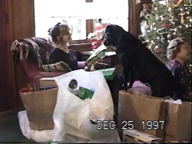 A family's black dog gets excited and helps unwrap presents on Christmas morning in 1997