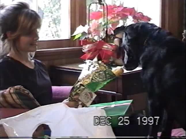 A woman holds a present for her black lab to unwrap on Christmas morning in this 1997 home video