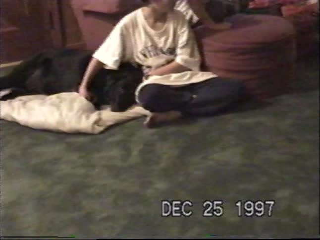 Two young brothers and their dog sit together by the Christmas tree surrounded by presents on Christmas morning in 1997