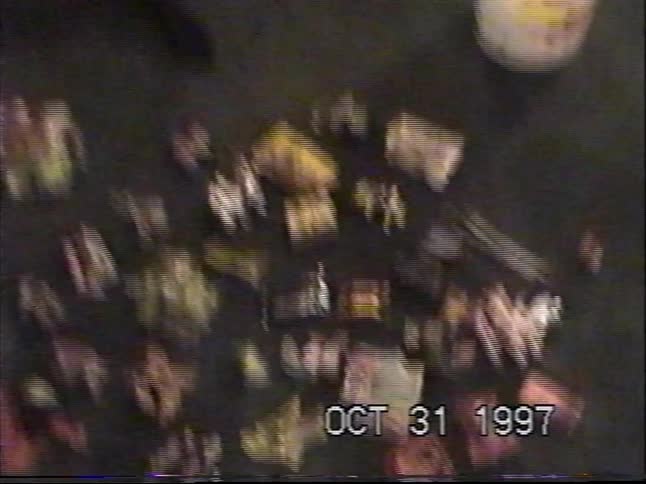 A vintage home video from Halloween 1997 shows a variety of candy spread on the floor next to a black dog