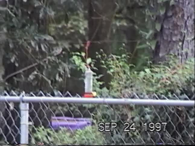 Vintage 1997 handheld home video captures a tiny hummingbird drinking from a feeder in a backyard