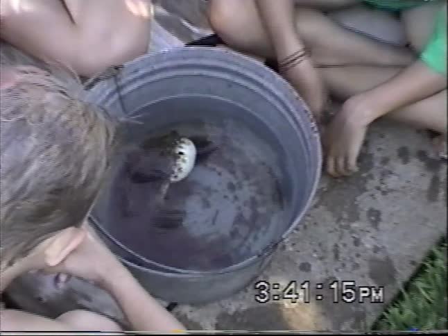 Vintage VHS footage shows a family marveling at a pufferfish in a bucket before a girl holds it as it deflates