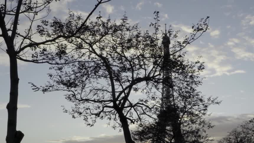 View of the eiffel tower through some trees