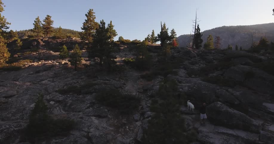Two people walk a dog down a hill